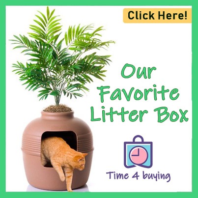 best litter box for kittens